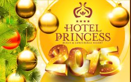 New Year\'s offer in Hotel Princess 2015