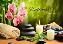WELLNESS PACKAGES